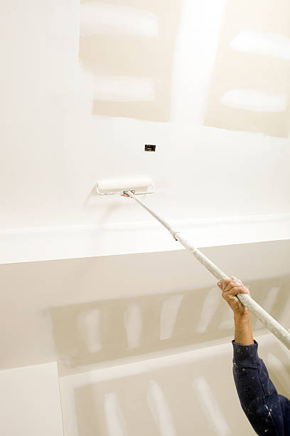 Professional Mold Removal in Naval Academy, MD